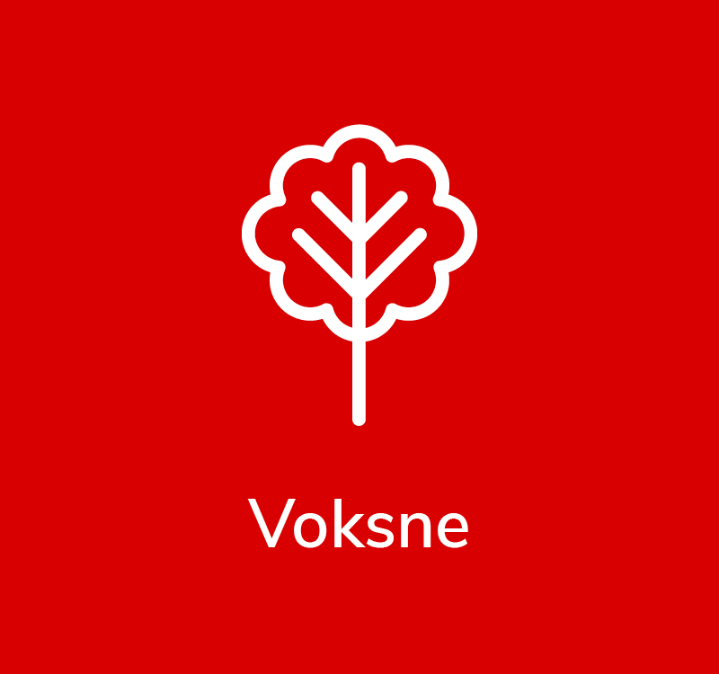 Voksne