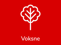 Voksne