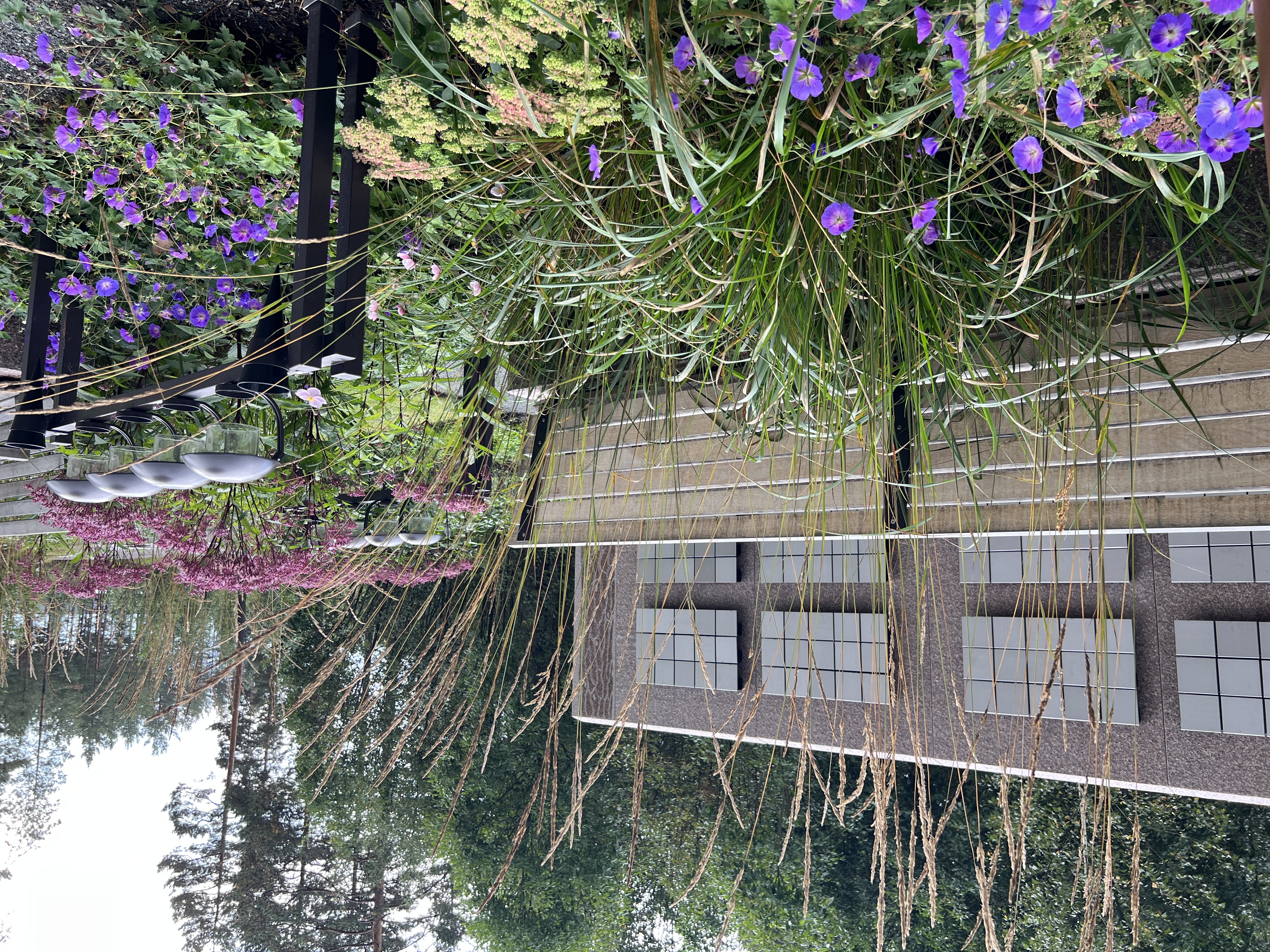 Høring: reviderte graplassvedtekter