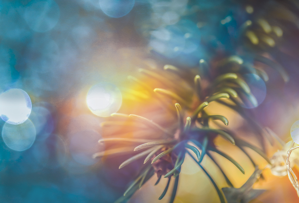 Jul og romjul i kirkene våre