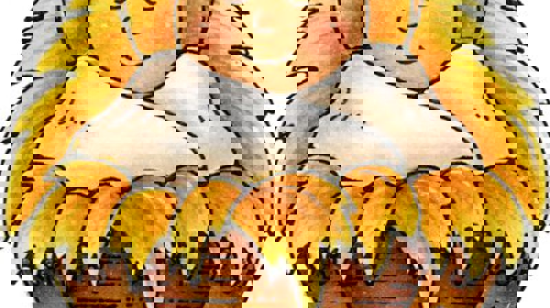 Julekrybbevandring - 3 åringer