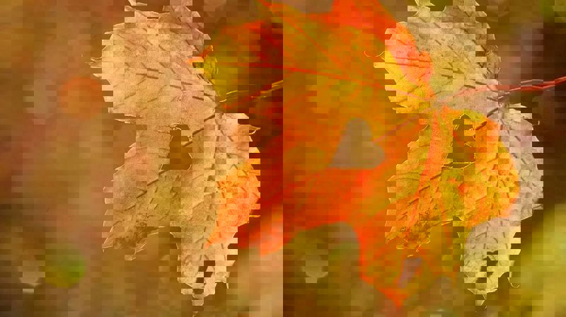 Digitalt menighetsblad