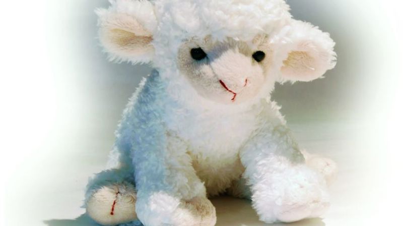 Familiegudstjeneste med Krølle