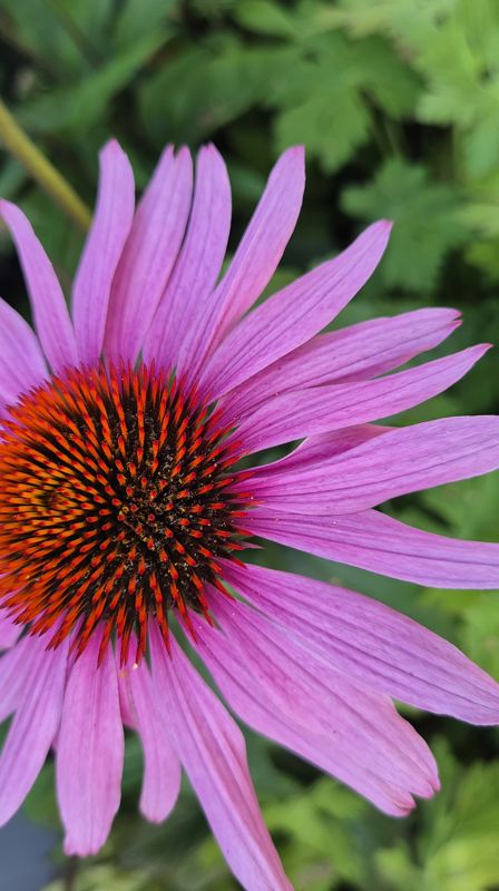 Kontoret har sommerstengt