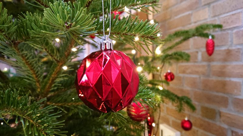 Julens gudstjenester i Berg