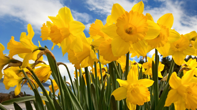 Påskehilsen fra prosten