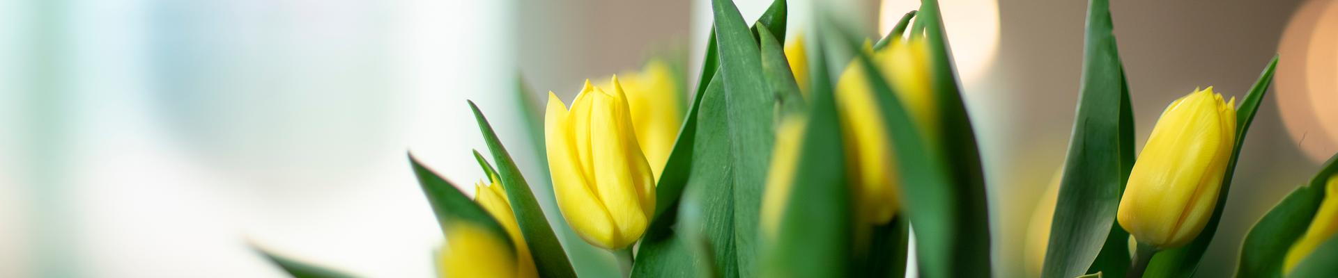 Toppbilde for Larvik kirkelige fellesråd