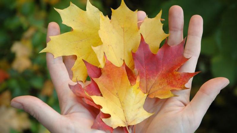 Høstbilde. Foto: Den norske kirke/Helene Moe Slinning