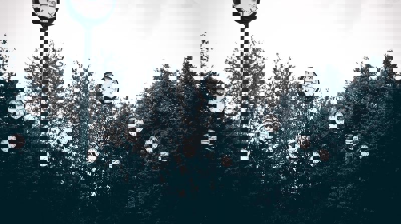 Foto: © Pexels-Pixabay