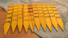 Det blir blant annet årelotteri.