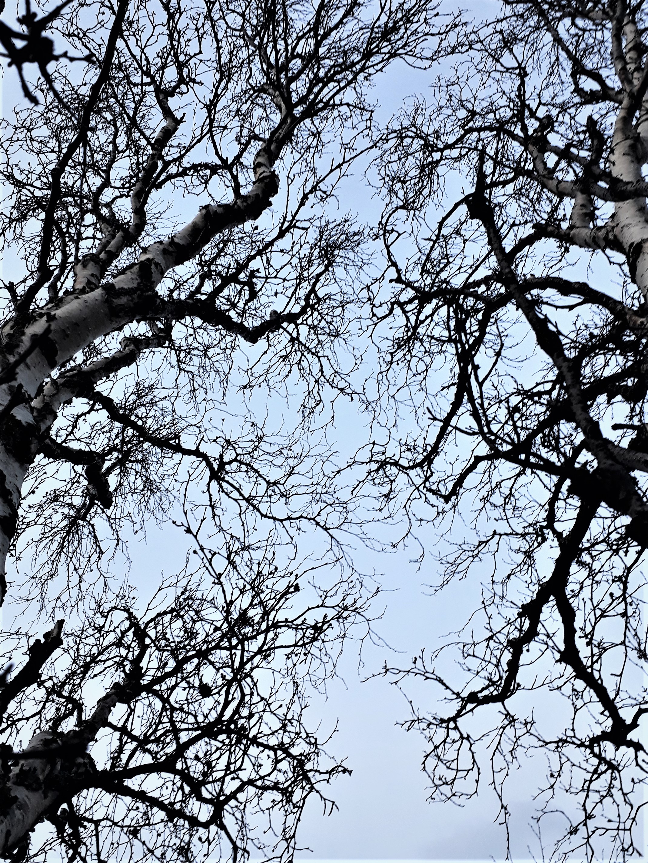 Langfredag: Godhet i det stille.