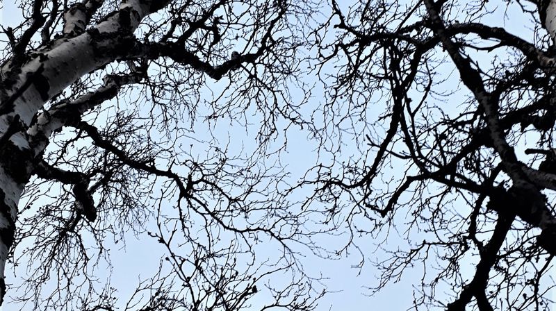 Langfredag: Godhet i det stille.