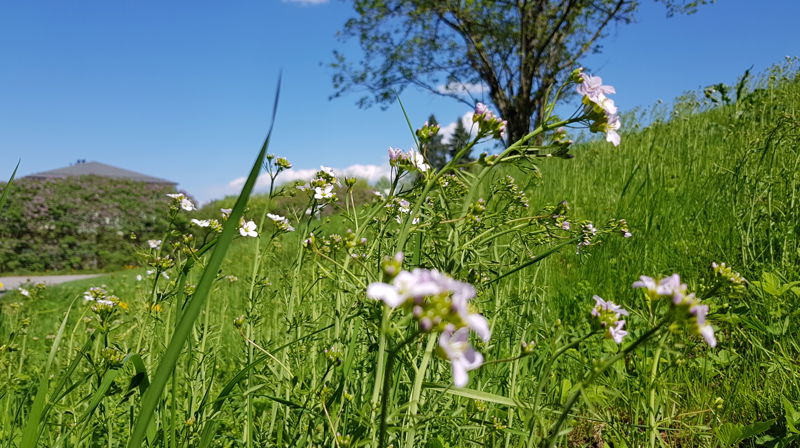 Datoer for gudstjenester