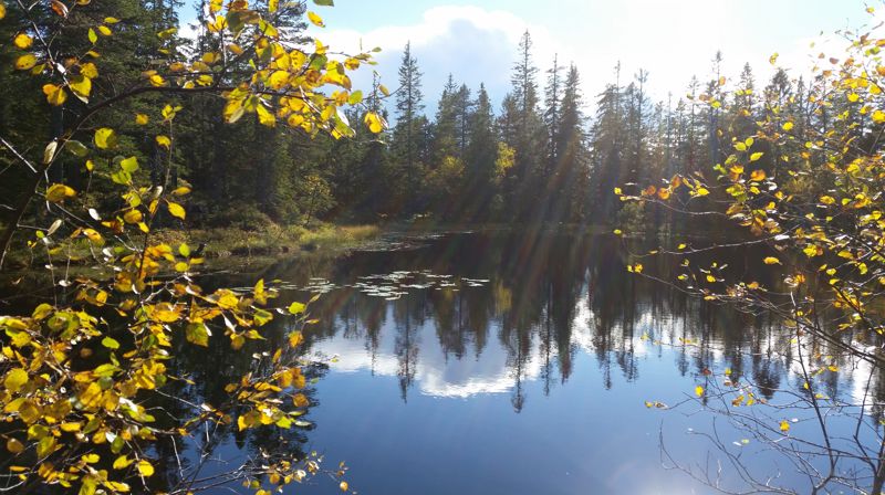 Velkommen til gudstjeneste på Øverskogen samfunnshus!