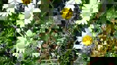 Foto: Berit Movik Lo