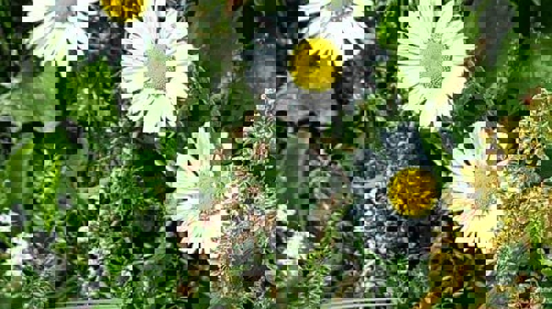 Foto: Berit Movik Lo