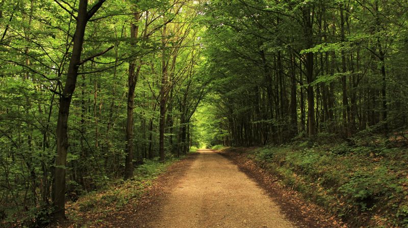 Kirke - også utenfor kirkeveggene