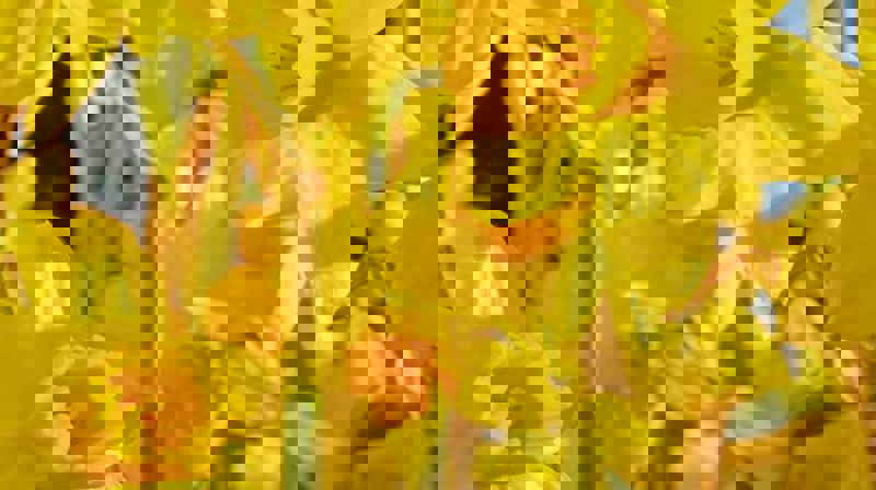 Påskevandringer i Lillestrøm