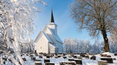 Foto: Anders Henriksen