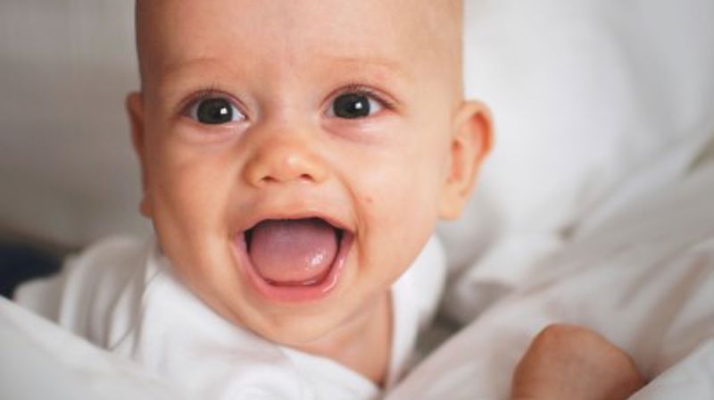 Foto: Rodrigo Pereira