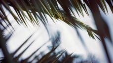 Photo by Tim Mossholder on Unsplash