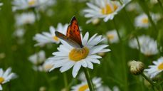 Photo: Eugene | Unsplash