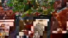 Vi lyser fred over Bjørn-Davids minne.