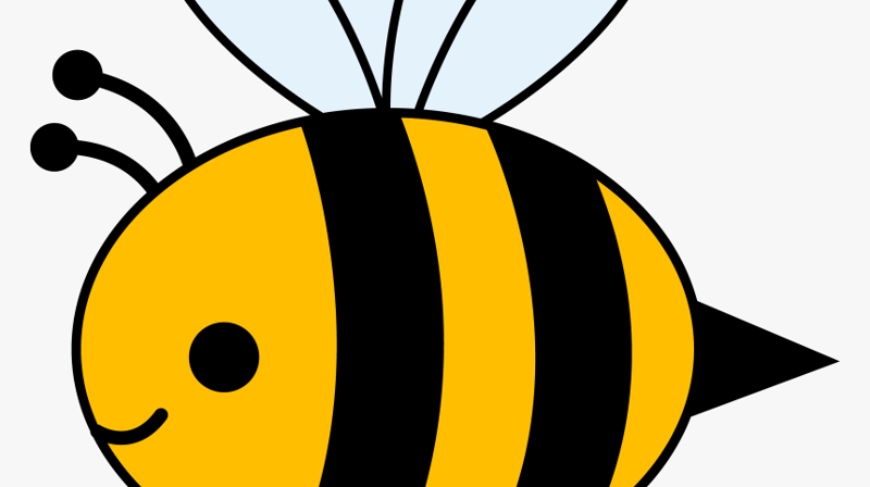 Verdensdagen for biene!