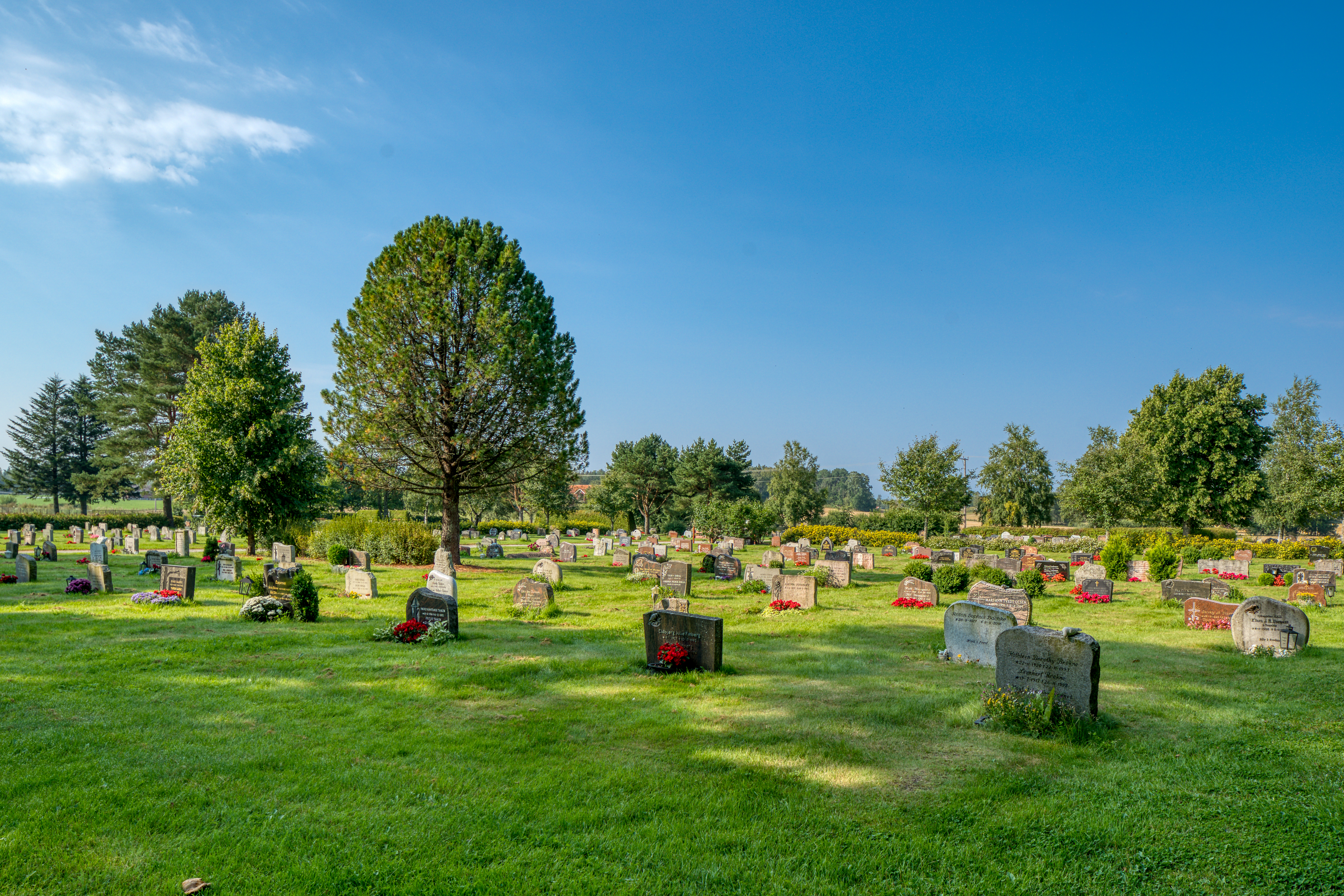 Toppbilde for Den norske kirke i Moss