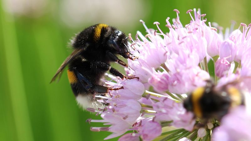 Hva kan vi gjøre konkret?
