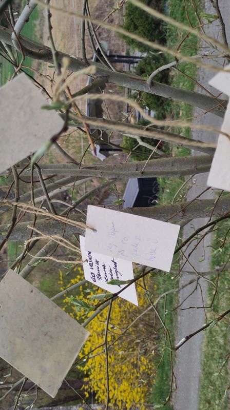 Et håpstre med våre bønner, lengsler og håp