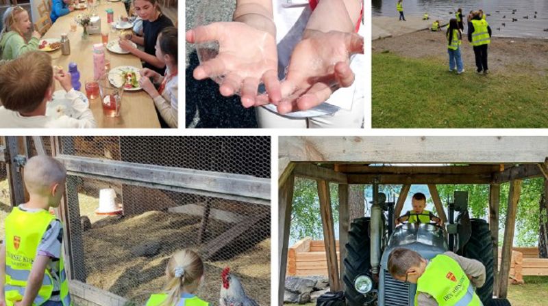 Bilder fra Aktivitetsdager 2025