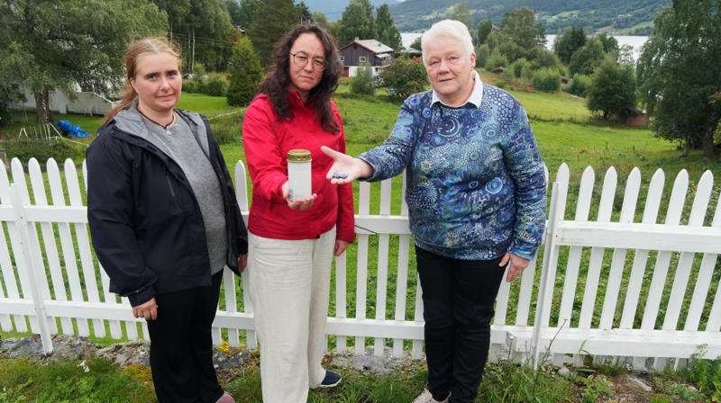 Gravlys kan ta liv – havner i fôret til dyr