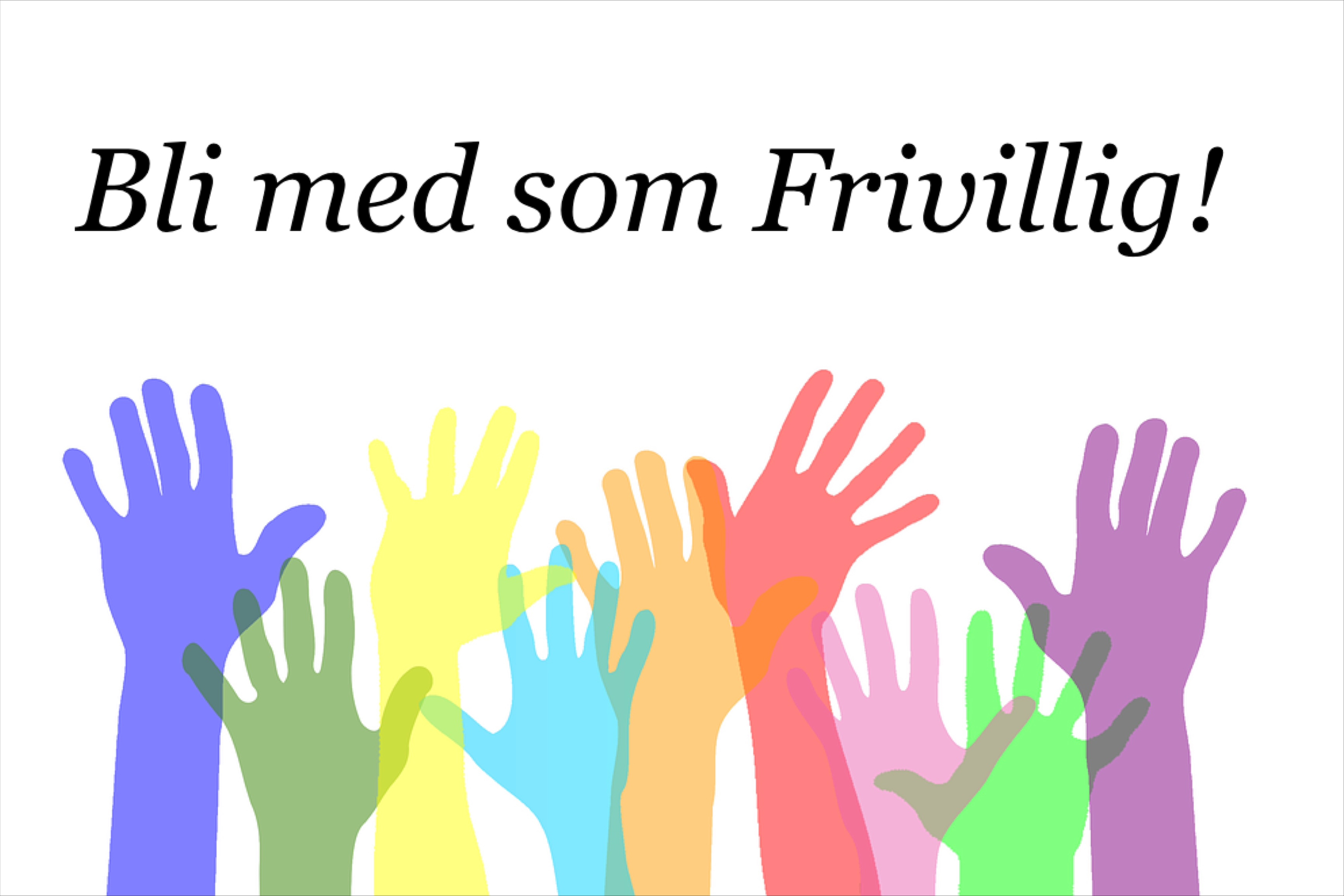 Bli frivillig