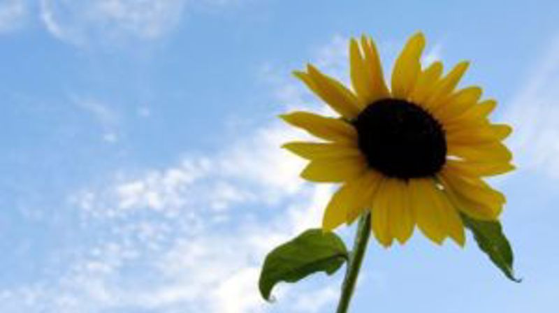 Sensommerfest på Ofstad 23. august