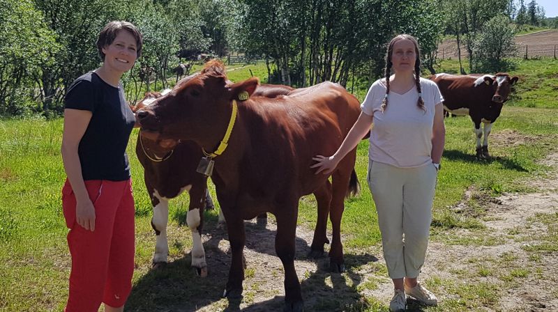 Balsam-konsert i Dalsbygda 4. juli