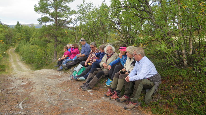 Bli med på tur fra Kvilvangen til Narbuvoll-kirka!