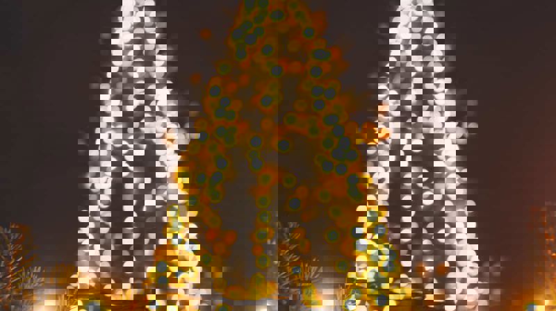 JULEGRANTENNING ALLSANGER