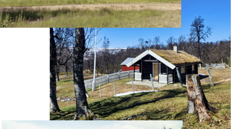 Friluftsgudstjenester sommeren 2025