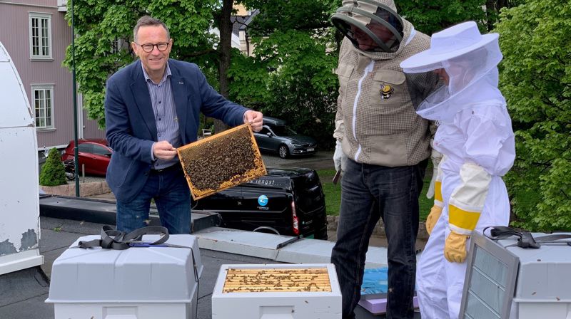 Kirkeverge Robert Wright, birøkter Erik Roede og lærling Renate Sæther steller godt med KfiO's nye leieboere i Akersbakken 32.