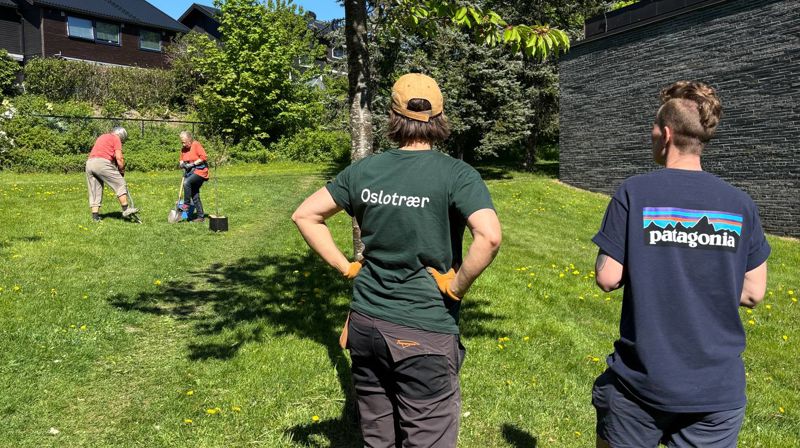 Det ble plantet trær under kyndig ledelse av Eva Anja (til venstre) fra Morgendugg. Her sammen med diakonen.