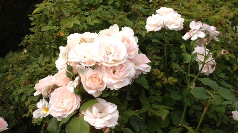 Trenger du noen å snakke med?