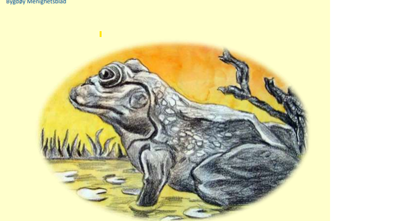 Menighetsbladet Vårt Nærmiljø sommer 2024