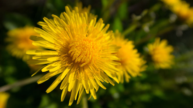 Menighetsmøte 6. april