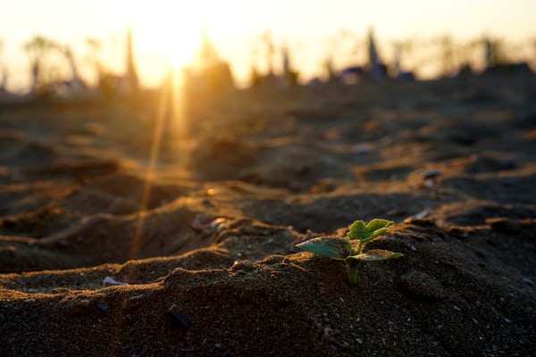 Foto Felix on Unsplash