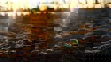 Foto Felix on Unsplash