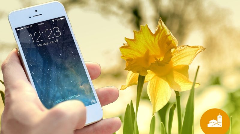 Trenger du noen å snakke med?