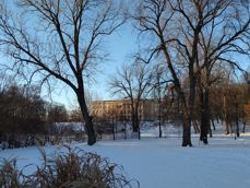 Slottsparken i morgenlys. Egeberg-Jensen 2022