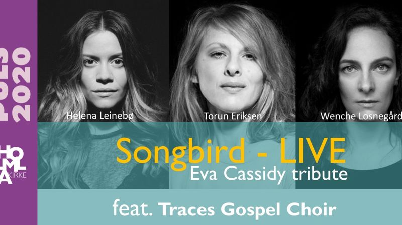 Konserter under PULS2020