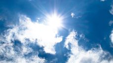 Photo by Lukas from Pexels